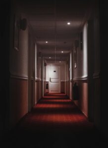 pexels-pricklywickly-11541194